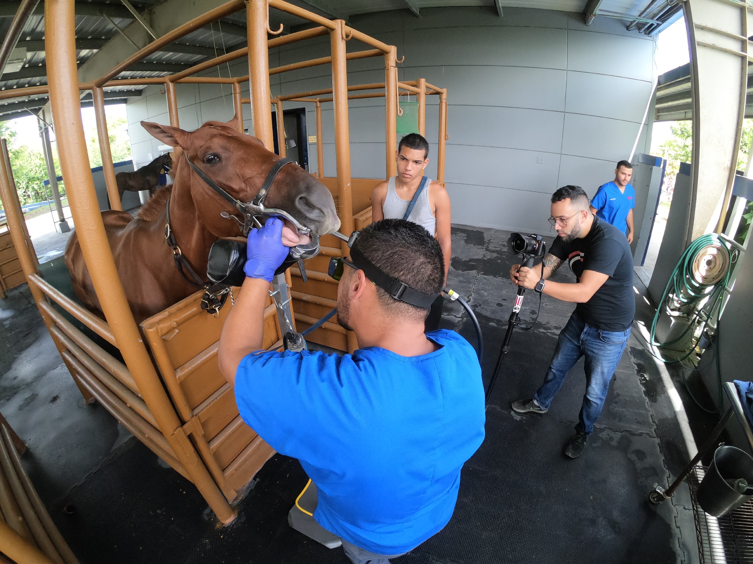 Salón de la Fama — Hipódromo